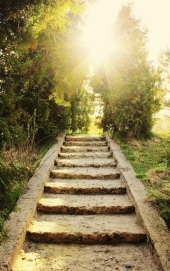 Umys� nie�wiadomy